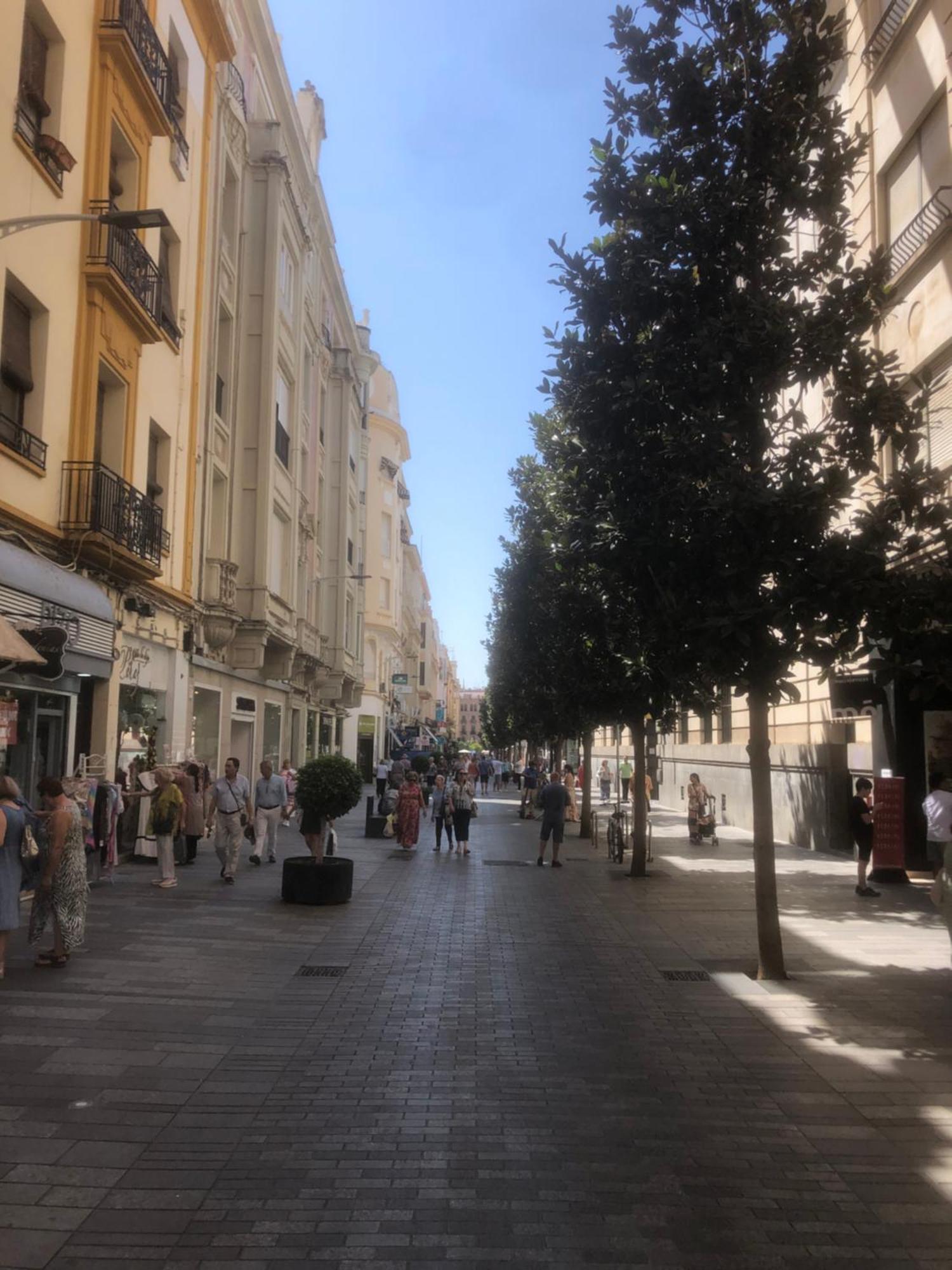 Apartamento En El Centro Totalmente Climatizado, Parking Gratuito Cordoba Luaran gambar